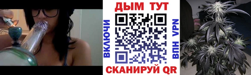 Купить где  Чёрмоз  Канабис сатива 